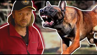 DOMANDO O FEROZ PASTOR DE MALINOIS | RICHARD RASMUSSEN