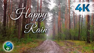 Сильный дождь в лесу весной | Шум дождя и грозы | Для сна, медитации или учёбы | Дождь |  ☔