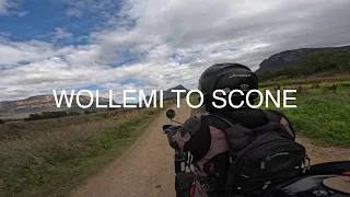 DAY 32 WOLLEMI TO SCONE