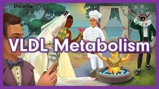 Lipid Metabolism and Lipid Transport USMLE Mnemonic: VLDL, IDL, and LDL