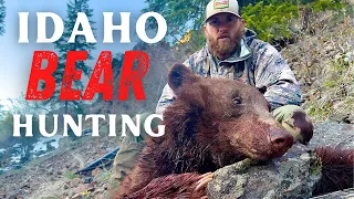 BEAR DOWN!!! Cinnamon Boar in the Cliffs! | Idaho Spot and Stalk Spring Bear Hunting