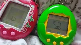 Tamagotchi death once again