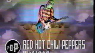 Red Hot Chili Peppers P.O.P. 15 feb 1992