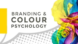 Colour Psychology: The Role of Colour in Visual Branding