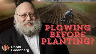 Rambam In-Depth I Plowing Before Planting?