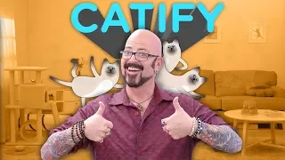 Steps on How to Catify Your Home with Jackson Galaxy