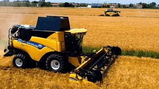 🌾Barley Harvest🌾| New Holland CR8.80 | Solighetto Brothers