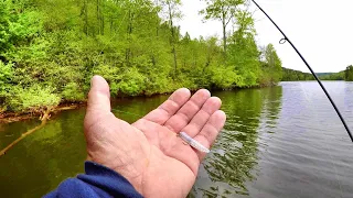 Catch SLABS All Day Long With This SIMPLE Tip! Crappie Fishing With A Jig
