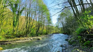 Gentle sounds of a mountain river. 12 hours of videos for sleep, study, meditation and relaxation.