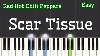 Red Hot Chili Peppers - Scar Tissue Piano Tutorial | Slow Easy