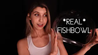 Fishbowl Brain Massage ~ Sticky Taps 🥰 (ASMR Roleplay)