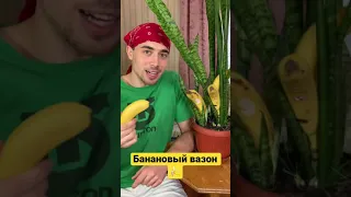 Как вырастить банановый вазон?!