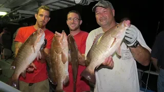 Top 3 Mangrove Snapper Mistakes (Are You Making These)?