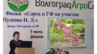 5 Часть фильма "Сорта и ГФ винограда на участке Пузенко Натальи Лариасовны"