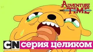 Время приключений | Cэндвич времени + Слишком стара (серия целиком) | Cartoon Network