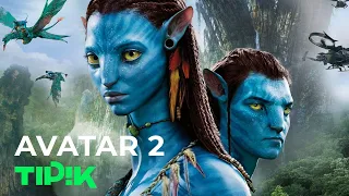 Avatar était inspiré d'un rêve de la maman de James Cameron, le réalisateur du film !
