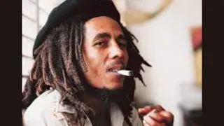 Interview with Bob Marley (1979) clip.