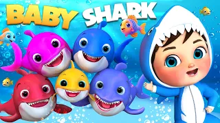 𝑵𝑬𝑾 Baby Shark Doo Doo, ABCD, ABCD, A For Apple, Alphabets, Phonics Song | Banana Cartoon (ASL)