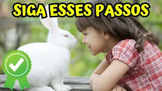 Aprenda Como Cuidar de Coelhos Recém Nascidos - Cuidados com coelho filhote