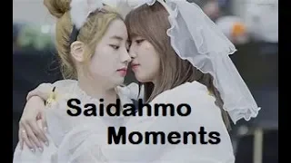 Saidahmo Vlive moments - Sana/Dahyun/Momo TWICE