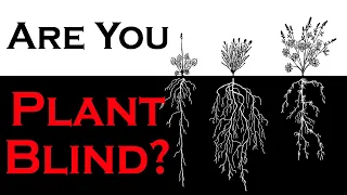 What is Plant Blindness? - How to Know if You are Plant Blind - Identifying Plants in the Garden