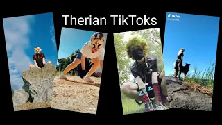 Therian TikTok Compilation