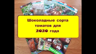 Шоколадные сорта томатов - что я посажу в 2020 году.