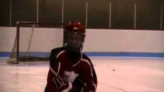 hockey pee-wee 3D William