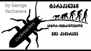 ტარაკანები / Сockroaches (by George Kacharava)