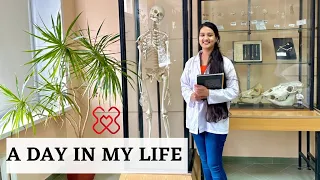 A Day in Life of Medical Student🇮🇳🩺🇷🇺| Privolzhsky Research Medical university, Russia