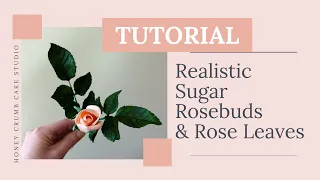 How to Make a Realistic Sugar Rosebud & Rose Leaves  |  Gumpaste Rosebud Tutorial for Beginners!