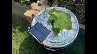 Using Solar Power to Grow Cucumbers in Hydroponic - It Really Works!!!