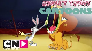 Domare un leone | Looney Tunes Cartoons | Cartoon Network Italia