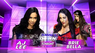 AJ Lee Vs Brie Bella - WWE Smackdown 05/03/2015 (En Español)