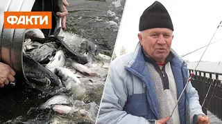 ЗАРИБЛЕННЯ в Україні: навіщо запускають рибу у Дніпро та як це допоможе ОЧИСТИТИ ВОДУ