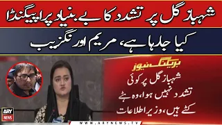 Marriyum Aurangzeb denies torture on Gill, dubs it ‘propaganda’