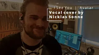 I SEE YOU - cover by Nicklas Sonne (theme from Avatar by Leona Lewis)