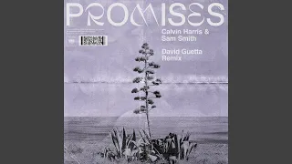 Promises (David Guetta Remix)