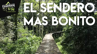 6 HORAS EN LA SELVA DEL AMAZONAS  || CaminanTr3s, El tercero eres tú!!