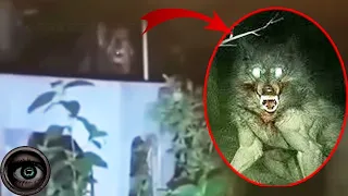 5 Werewolves Caught On Camera