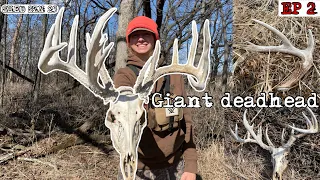 GIANT DEADHEAD AND GIANT SHEDS!! (Iowa Public Land 2023)