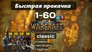 Wow classic: быстрая прокачка вов классик альянс орда 1-60 советы, эксплойты, аддоны