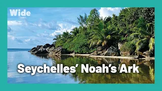 Seychelles: Restoring paradise I WIDE