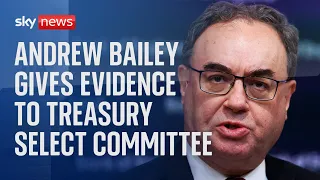 Bank of England Governor Andrew Bailey gives evidence to Treasury Select Committee