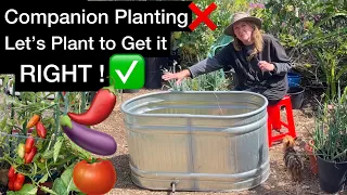 How to GROW Tomatoes Cucumbers Watermelon Eggplant Peppers GET the BEST RESULTS Container Gardening