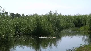 Вчера в Припяти утонул ребенок