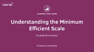 Understanding Minimum Efficient Scale - A Level and IB Economics