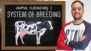 Animal hus-3 | System of Breeding | Inbreeding | Out breeding |