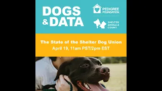 Dogs & Data: The State of the Shelter Dog Union