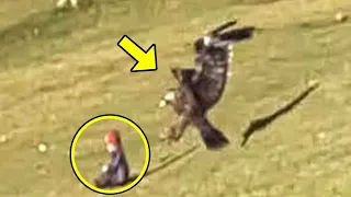 Man Saw The Eagle Take Away His Grandson, But What Happened Next Made Him Scream!